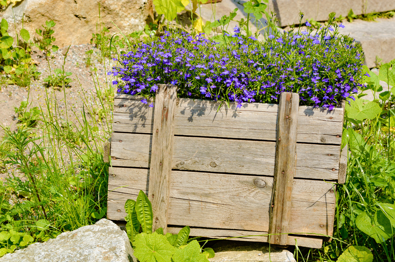 Innovative Strategies for Packaging and Cardboard Recycling
